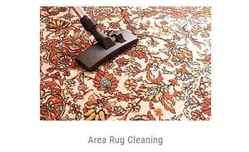 San Antonio Carpet Cleaning  juststeamitcleaners. com