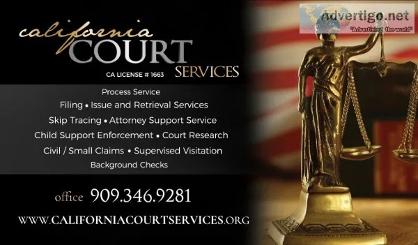 Legal Support Professionals and Process Servers