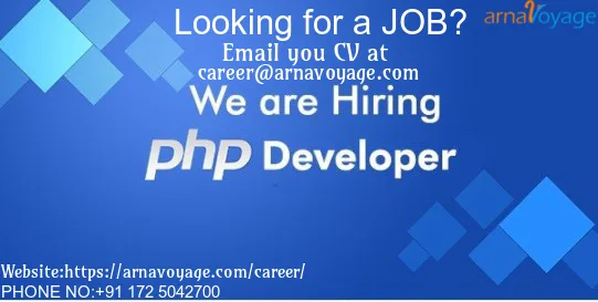 PHP WordPress Developer