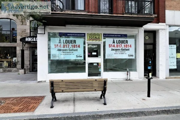962 sqft space for rent on St-Denis Plateau-Mont-Royal