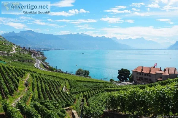 Deals to steal on Switzerland honeymoon tour package