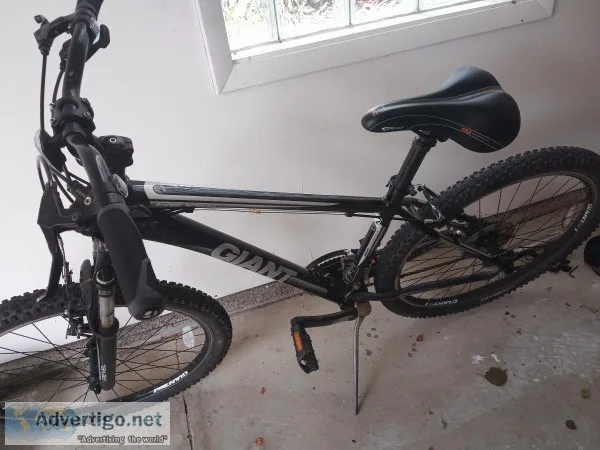 Bike Shop Bike