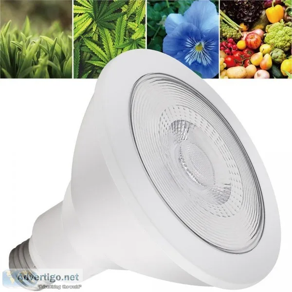 Best LED Grow Light for Indoor Plants