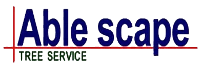 Able Scape Inc.