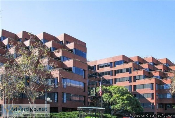 Modern High-Tech Office Space For 15-20 People In Levi s Plaza