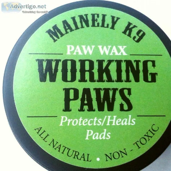Mainely K9 Working Paws