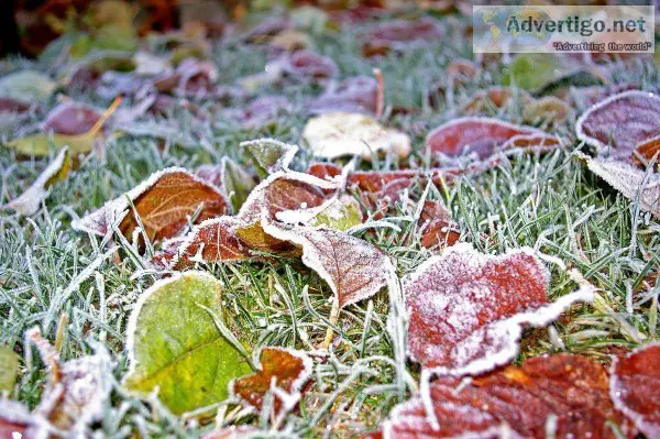 More Information About Winter Lawn Care in Dublin