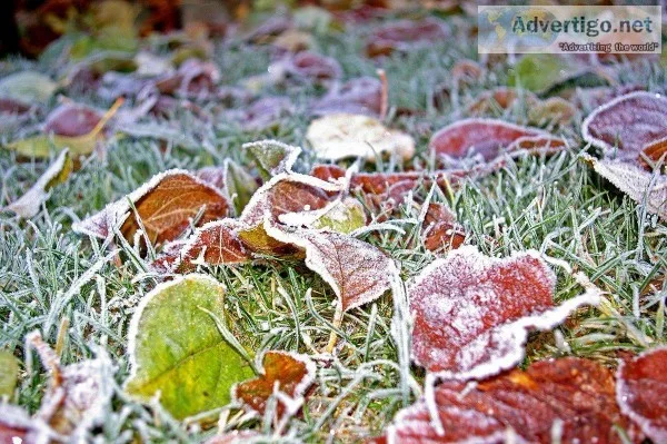 More Information About Winter Lawn Care in Dublin