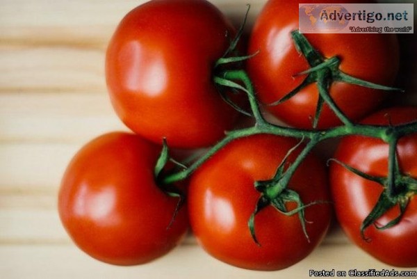 Best Food License Provider Firm in India