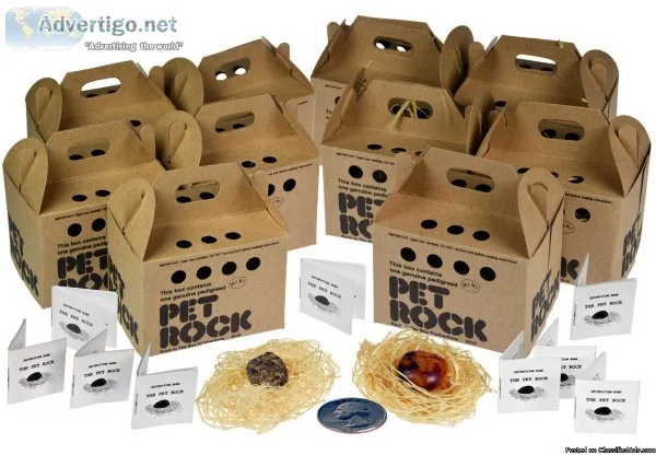 Mini Pet Rocks Get yours now. Amazing Pets For Gag Gifts and Par