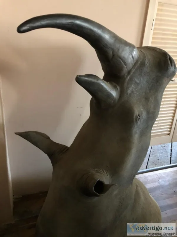Authentic black African rhino