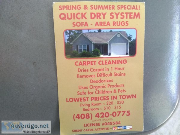 Quick Dry Carpet s