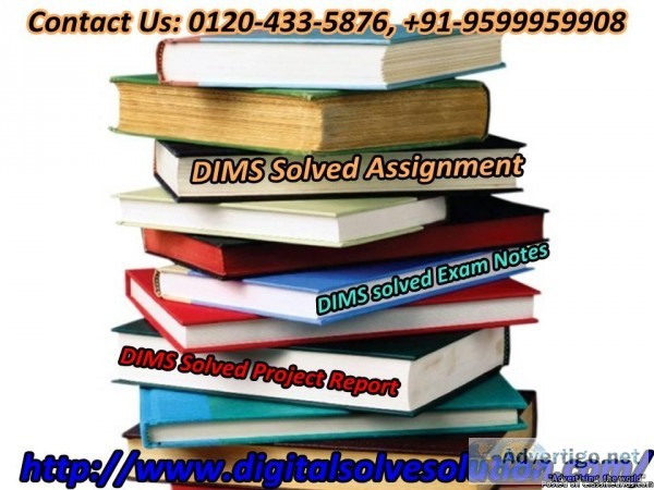 Getting some DIMS solved assignment 0120-433-5876