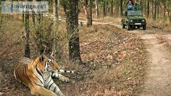 Adventure and Wildlife Tours
