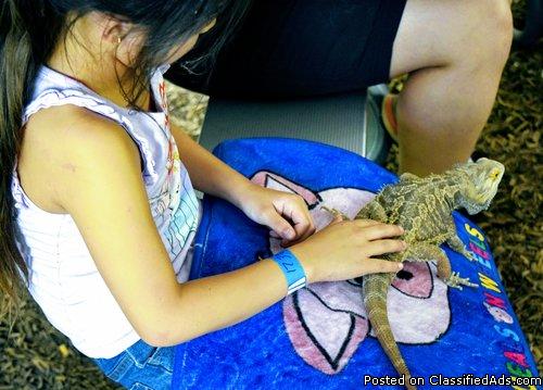 Petting Zoo Learning Events For Birthday Party