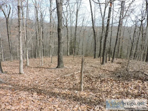 RAVENDEN SPRINGS 175