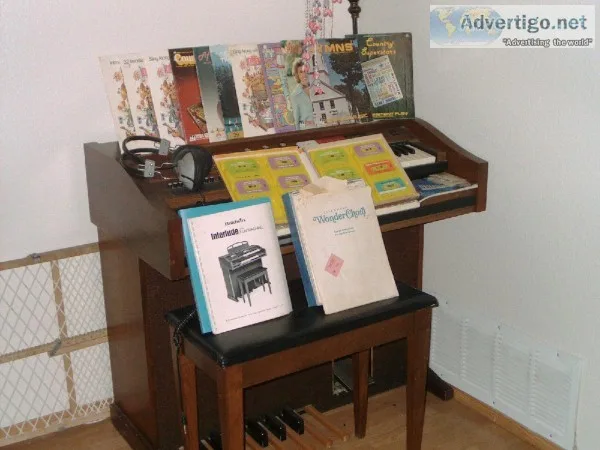 Boldwin Fun Machine Organ