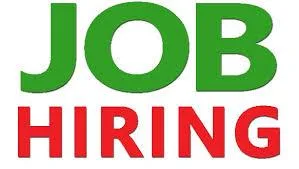 Required Female Excel Backend Excutive sec-9 in chandigarh