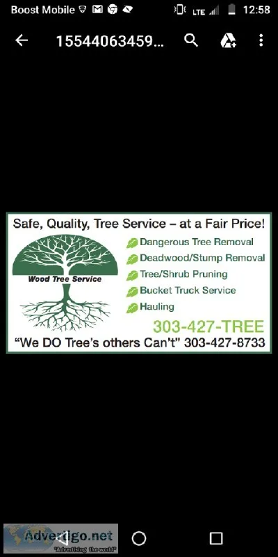 Tree Work