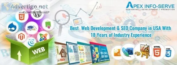 Apex Info-serve A best Website Design and Development Company