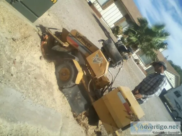 Fast tree service