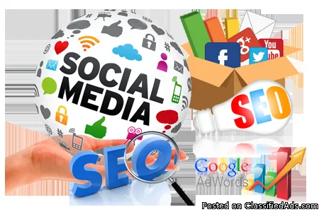 digital Marketing  Executive