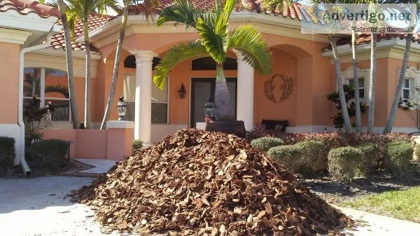 Landscape dirt-sod-mulch install