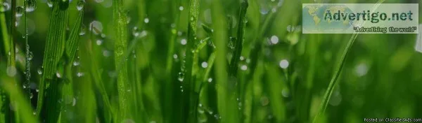 Lawn Care Services Calgary