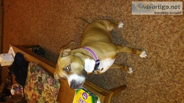Spaded female mixed