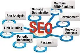 Fastidious Technologies SEO Service Best SEO Company