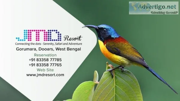 JMD Resort  Exclusive and Luxurious Services in Dooars