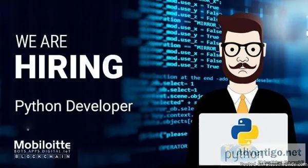 Python Development Services