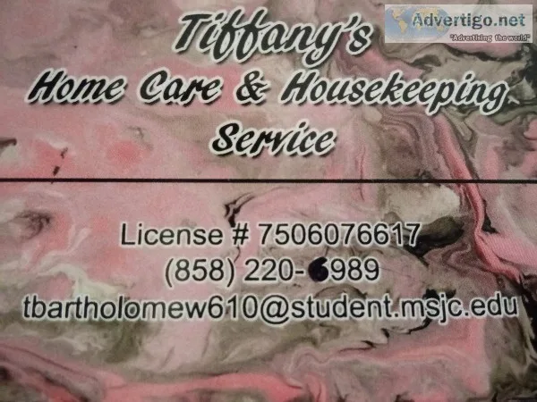 DOMESTIC SERVICES