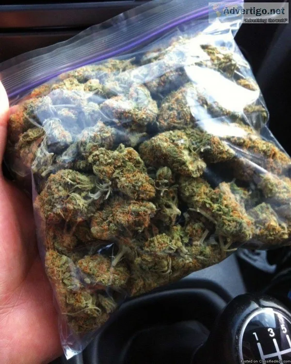 Cookies Mix Snap and Pull (closed loop BHO) Available
