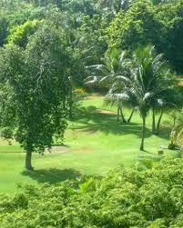 Call Us today CHEAP LANDSCAPING Reliable and Experienced ((Tucso