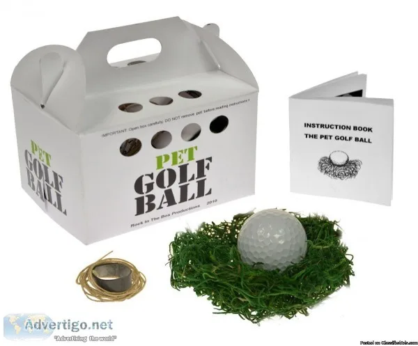 A Fun gift for everybody. Pet Rocks are back 