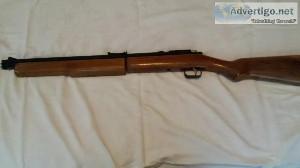 Pellet rifle