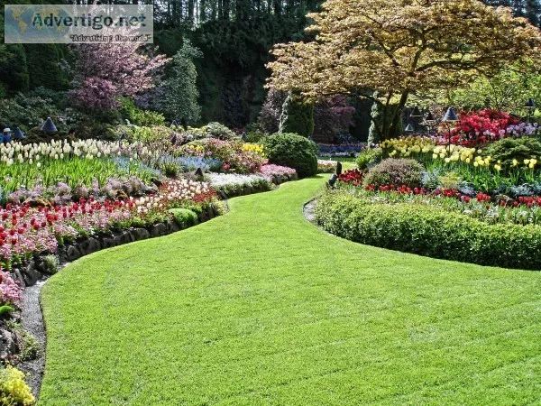 Convert Your Terrace or Empty Space into Healthy and Wealthy Gar