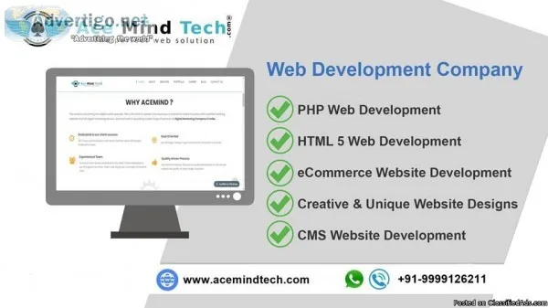 Web Development Company in Delhi