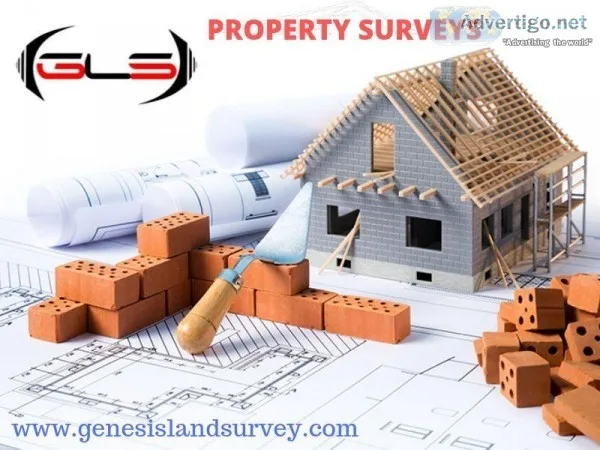 Property Surveys