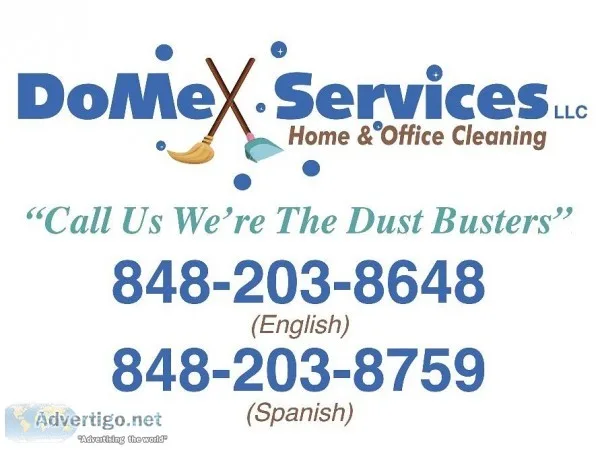 DOMEX SERVICES LLC