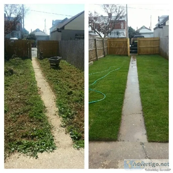 Summer 2010 Landscaping