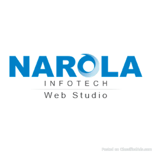 Web Application Design Development Company in USA - Narola Infot
