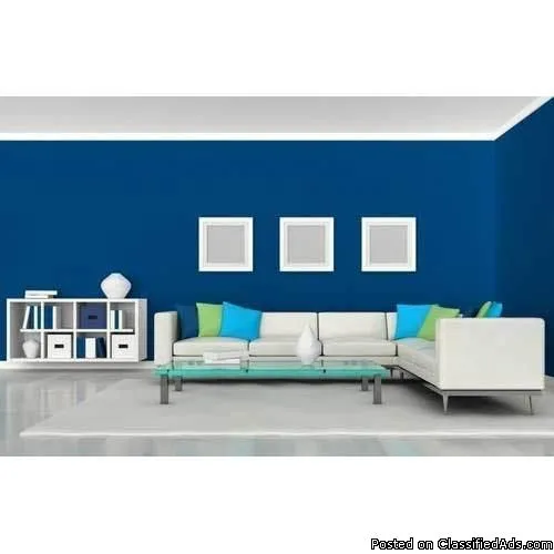VS Enterprises -  Room Wall Painting Service