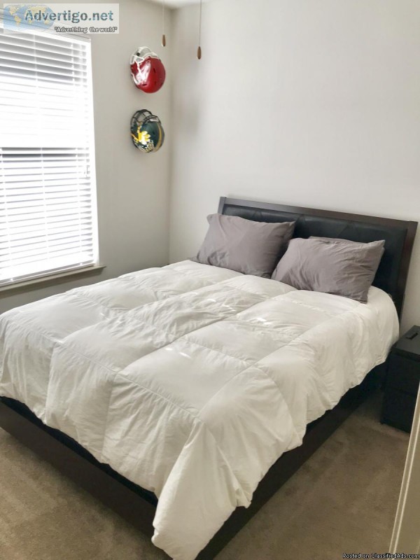 Serta QueenMattress Box springs and bed Reduced for quick sale