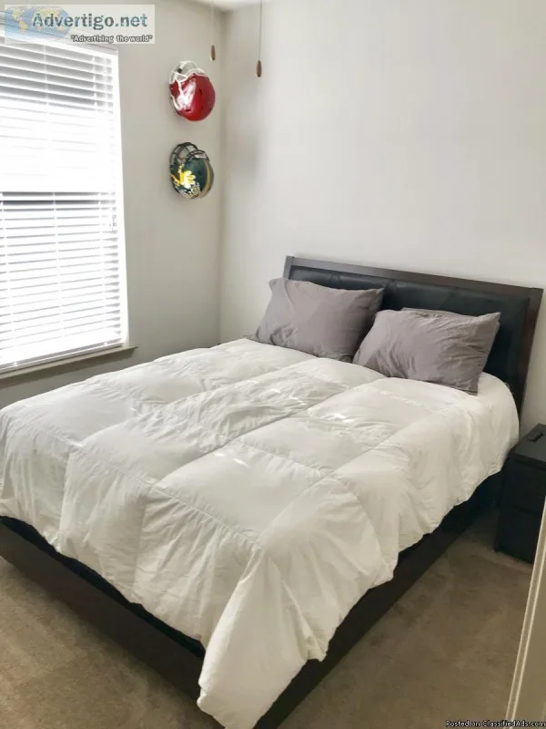 Serta QueenMattress Box springs and bed Reduced for quick sale