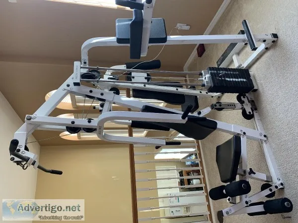 Pacific fitness multy station