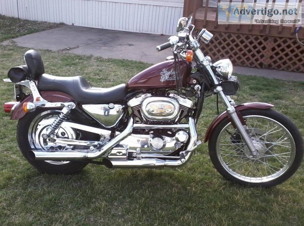 2000 HARLEY DAVIDSON 1200 CUSTOM
