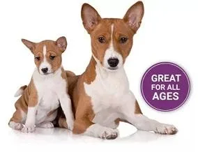 Amazing Pet Supplement