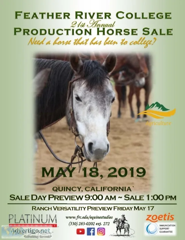 21st Annual Feather River College Production Horse Sale